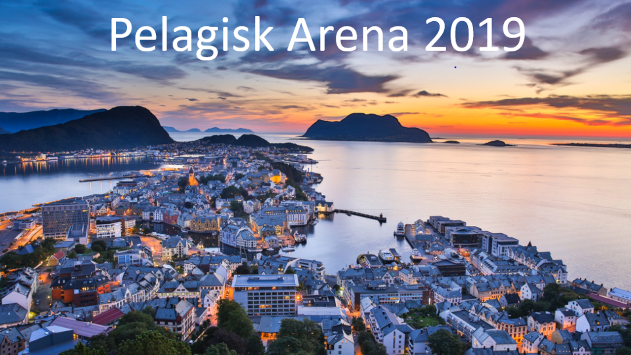 Pelagisk Arena 2019