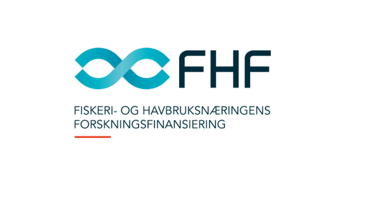 Logo Med Navn