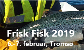 frisk_fisk_2019