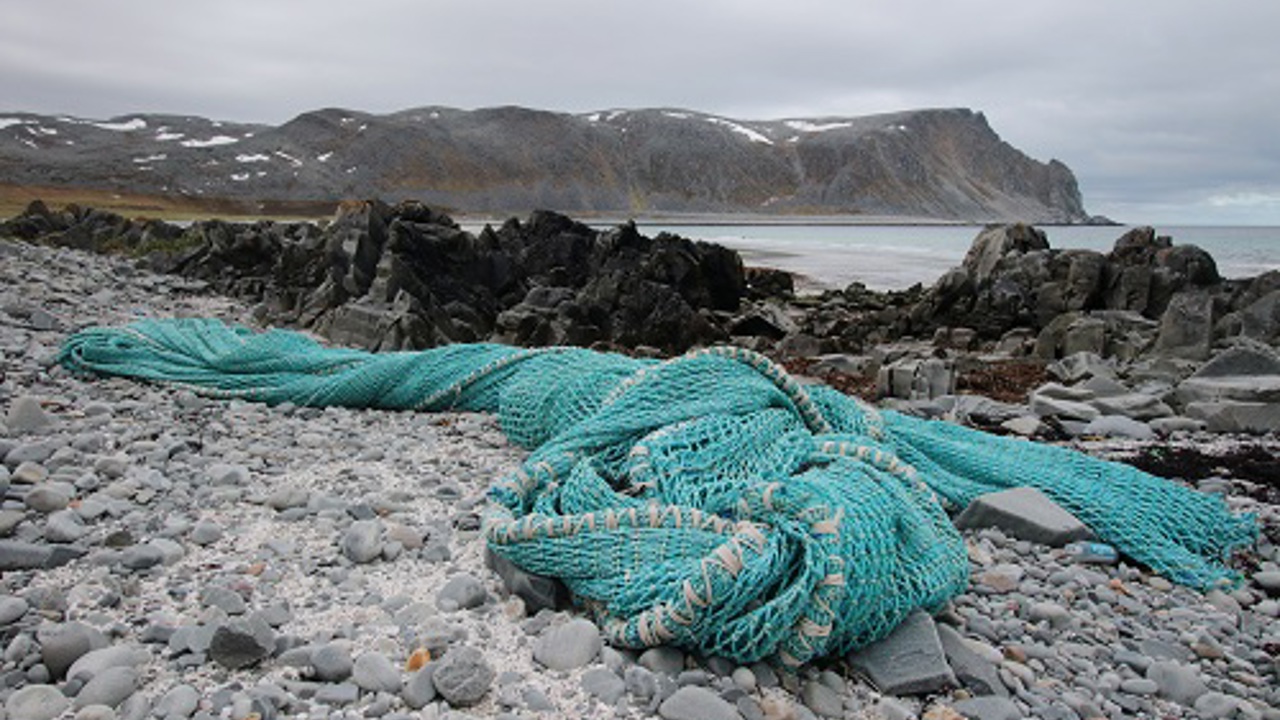 Garn Akkreditering SALT Marthe Larsen Haarr