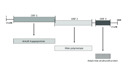 CMS (1)