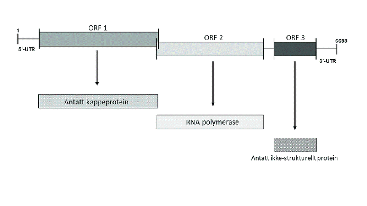 CMS (1)