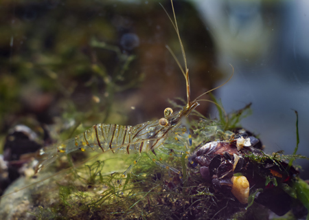 FELLESOMRÅDER Reke Adobestock 972474493 Web